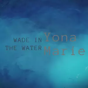 Wade In The Water (Single)